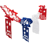 GUIRNALDA VIVA CHILE